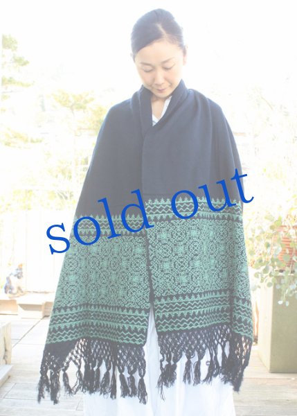 画像2: プエブラ州の刺繍ショール (2)