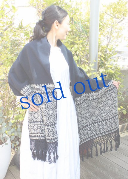 画像2: プエブラ州の刺繍ショール　 (2)