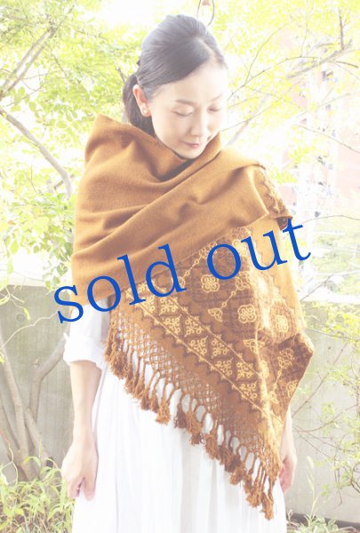 画像1: プエブラ州の刺繍ショール　 (1)