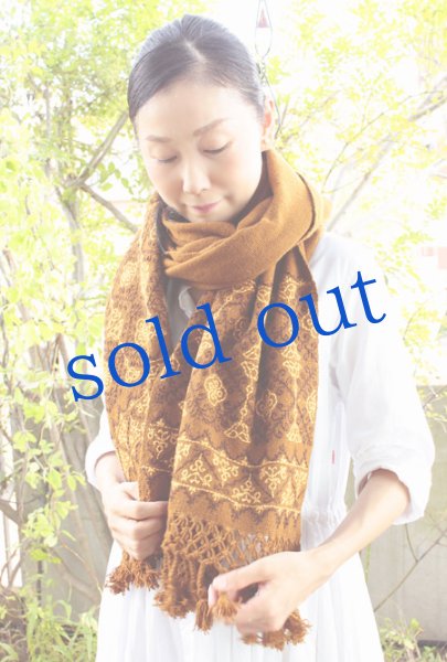 画像3: プエブラ州の刺繍ショール　 (3)