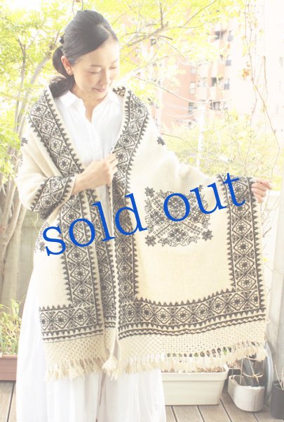 画像1: プエブラ州の刺繍ショール (1)