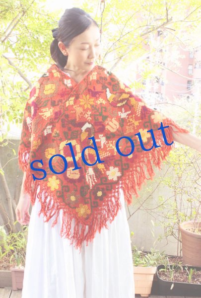 画像2: プエブラ州のポンチョ (2)
