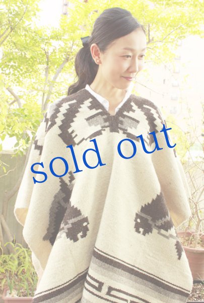 画像3: オアハカ州のロングカウボーイポンチョ　 (3)