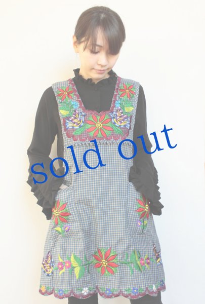 画像2: オアハカの刺繍エプロン（デラックス） (2)