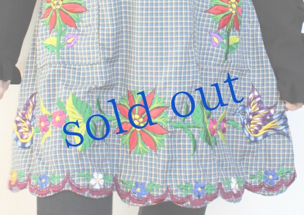 画像5: オアハカの刺繍エプロン（デラックス） (5)