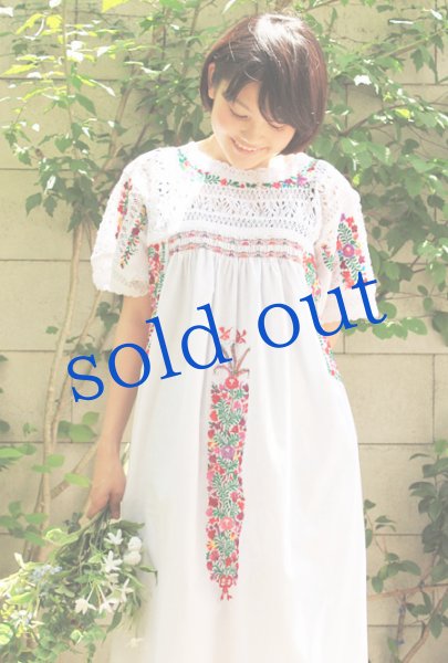 画像3: 「サンアントニーノ」 刺繍最高級ドレス　 (3)