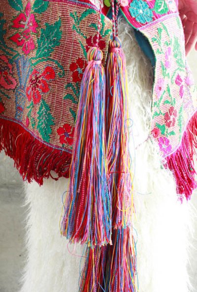 画像2: シナカンタン村の本格民族衣装　