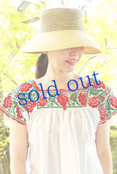 画像1: 「薔薇のクロスステッチ」メキシコ刺繍ブラウス　 (1)