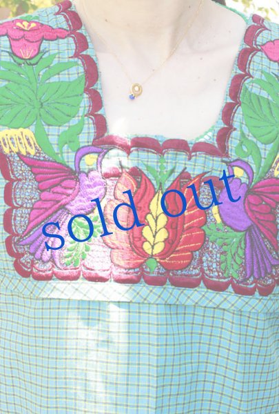 画像2: オアハカの刺繍エプロン（デラックス） (2)