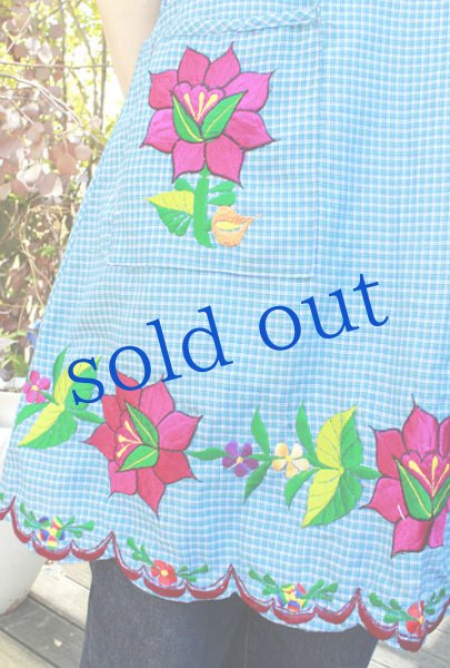 画像4: オアハカの刺繍エプロン（デラックス） (4)