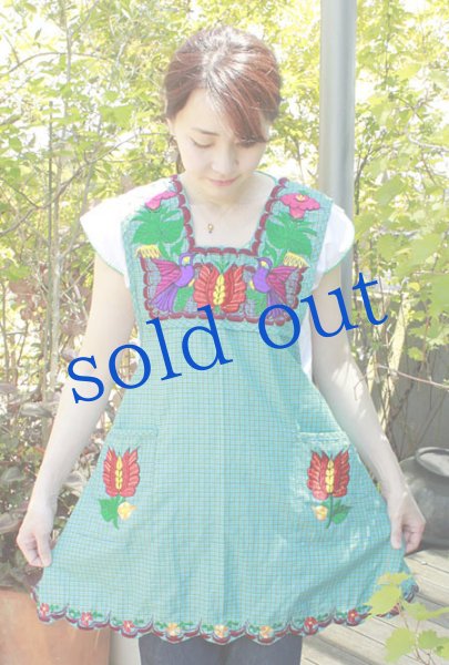 画像3: オアハカの刺繍エプロン（デラックス） (3)
