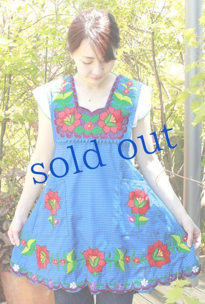 画像3: オアハカの刺繍エプロン（デラックス） (3)