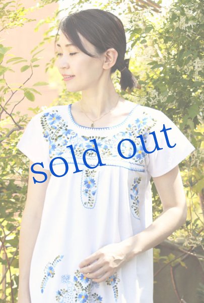 画像2: 蝶と孔雀メキシコ刺繍ワンピース (2)