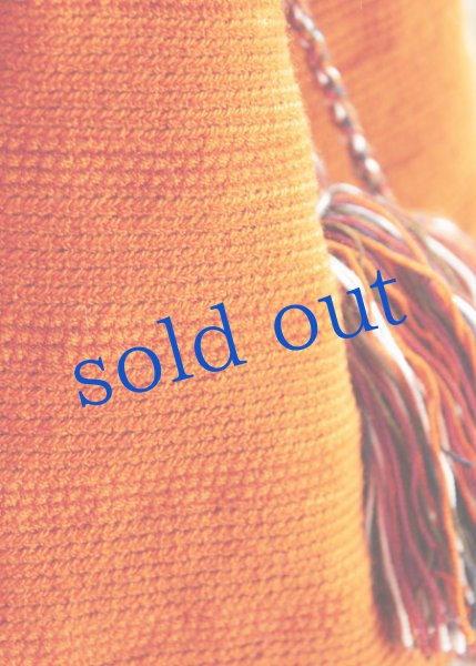 画像4: コロンビアの先住民WAYUU族の手編みバッグ (4)