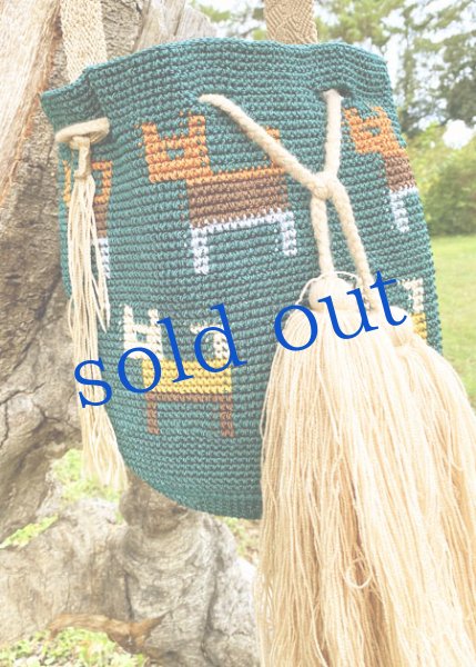 画像3: チアパス手編みバケツバッグ  (3)