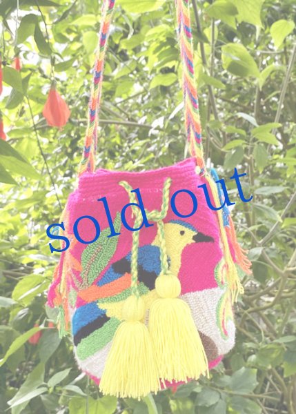 画像1: コロンビアの先住民WAYUU族の手編みバッグ　 (1)