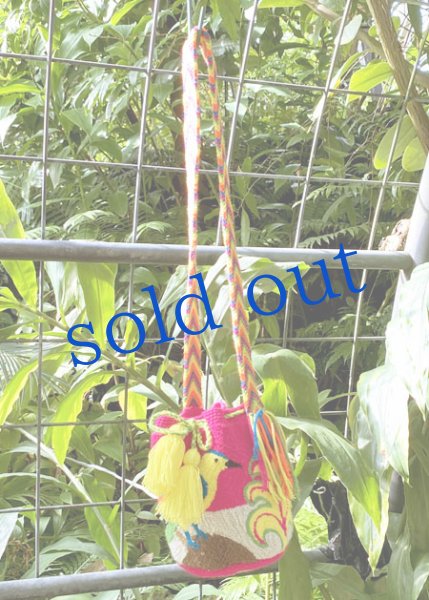 画像5: コロンビアの先住民WAYUU族の手編みバッグ　 (5)