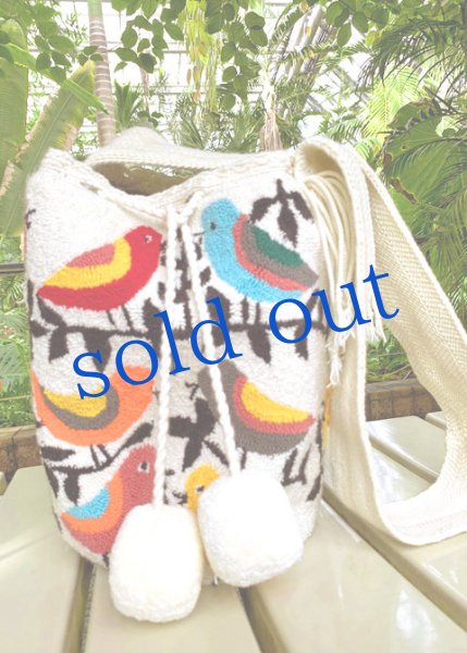 画像1: WAYUU族のパンチング刺繍バッグ (1)