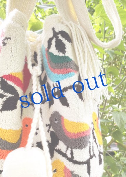 画像4: WAYUU族のパンチング刺繍バッグ (4)