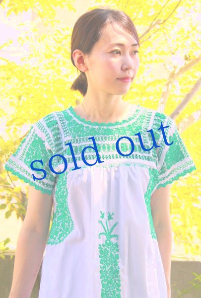 画像1: 「サンアントニーノ」 刺繍チュニックブラウス (1)