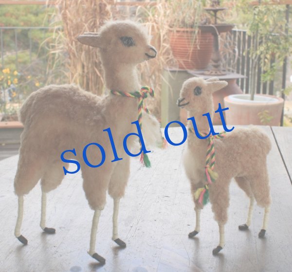 画像2: ボリビアから来たビクーニャ親子 (2)