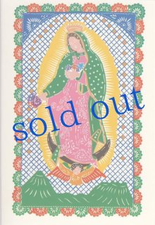 xenosurfboard ミニミッド　グアダルーペ　マリア Midlengths | Bird Rock Surf Shop