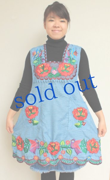 画像2: オアハカの刺繍エプロン（デラックス）　 (2)
