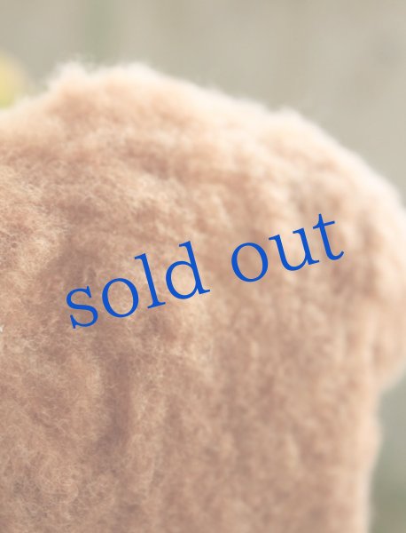 画像4: ボリビアから来たビクーニャ親子 (4)