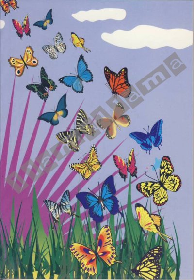 画像1: メキシコのノート（マリポサ（蝶））