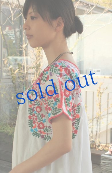 画像4: サンアントニーノ刺繍ワンピース (4)