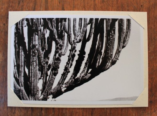 画像2: オアハカの生写真グリーティングカード (2)