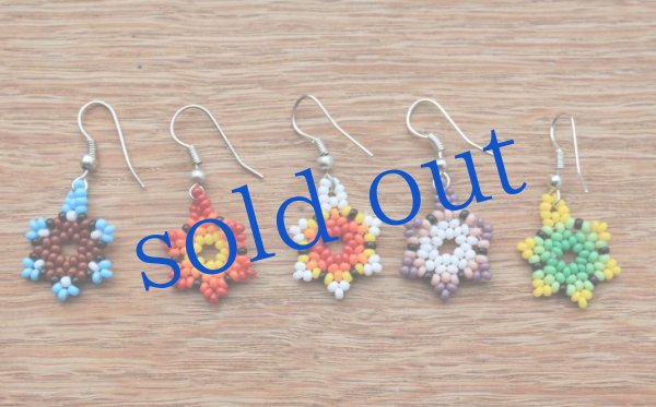 画像3: ウイチョル-ビーズのピアス (3)