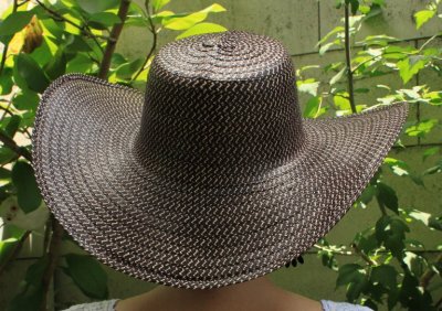 画像3: コロンビアコスタ地方の帽子